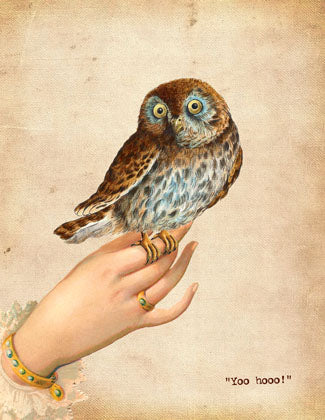 Cart-olina Boxed Note Cards - Owl