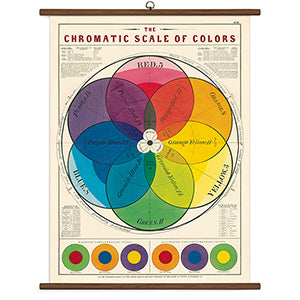 Vintage School Chart