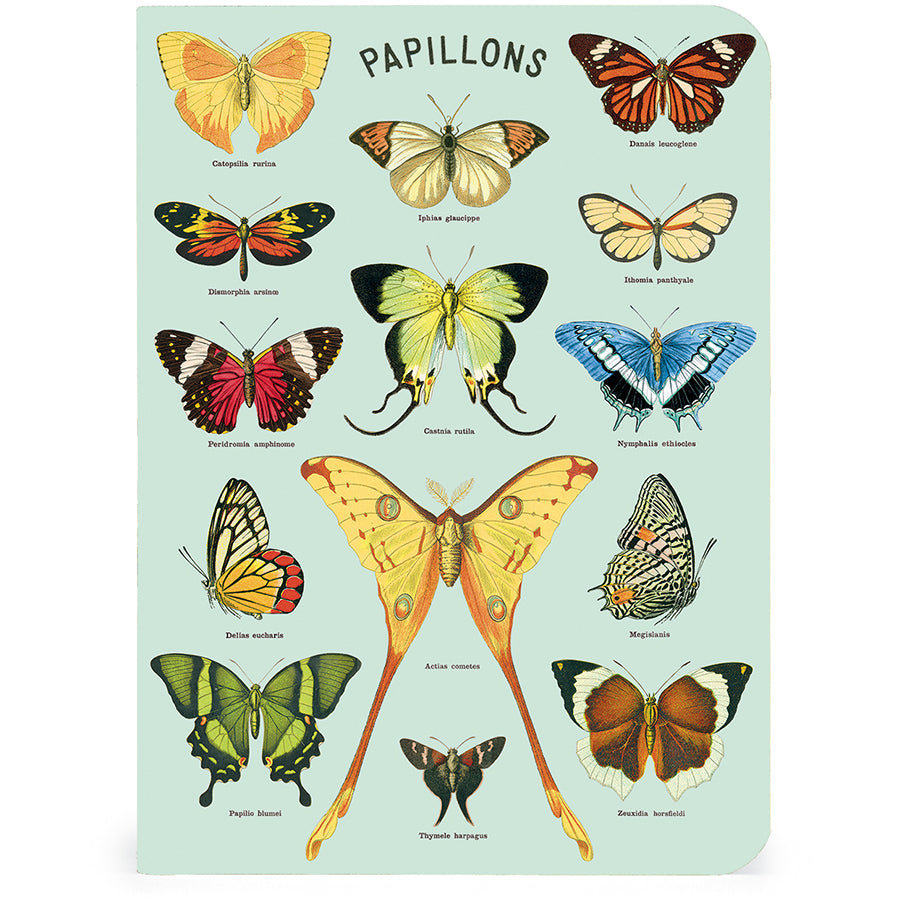Set of 3 Mini Notebooks - Butterflies