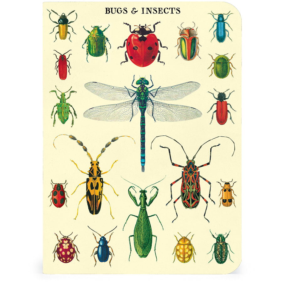 Set of 3 Mini Notebooks - Bug and Insects