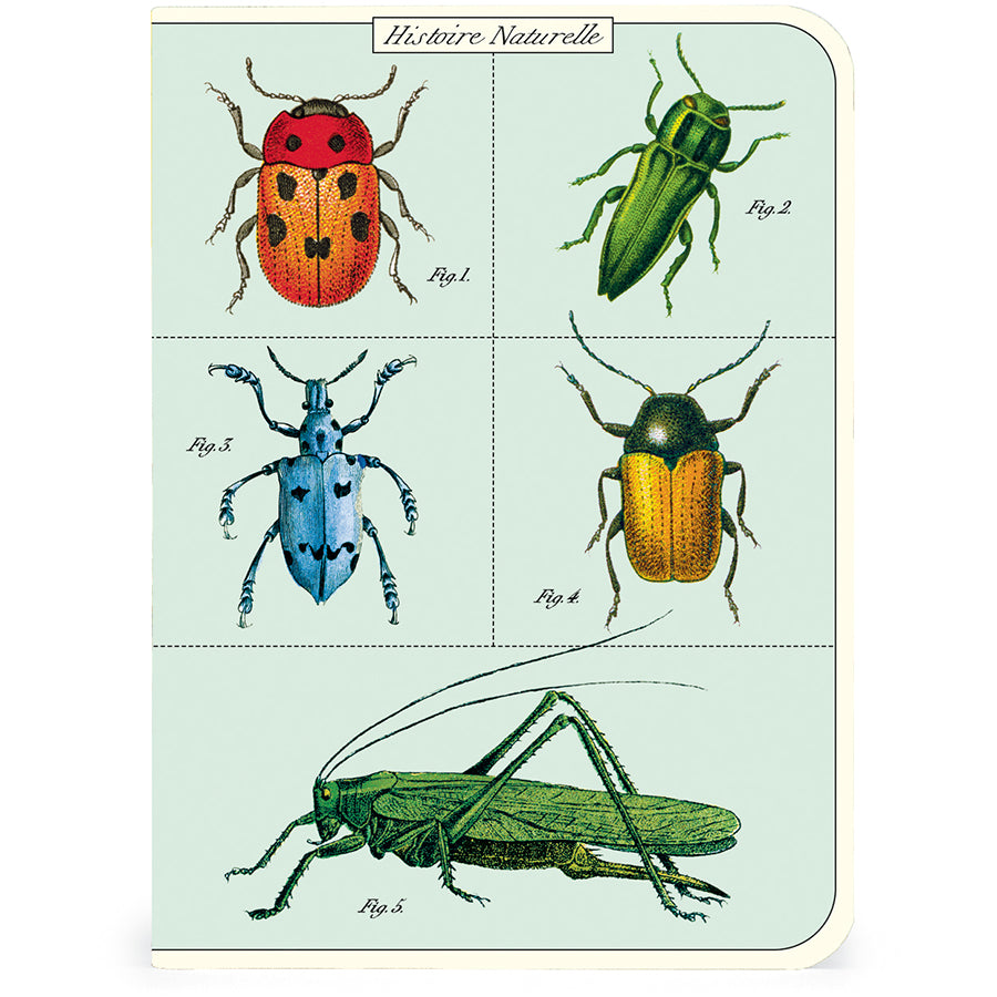 Set of 3 Mini Notebooks - Bug and Insects