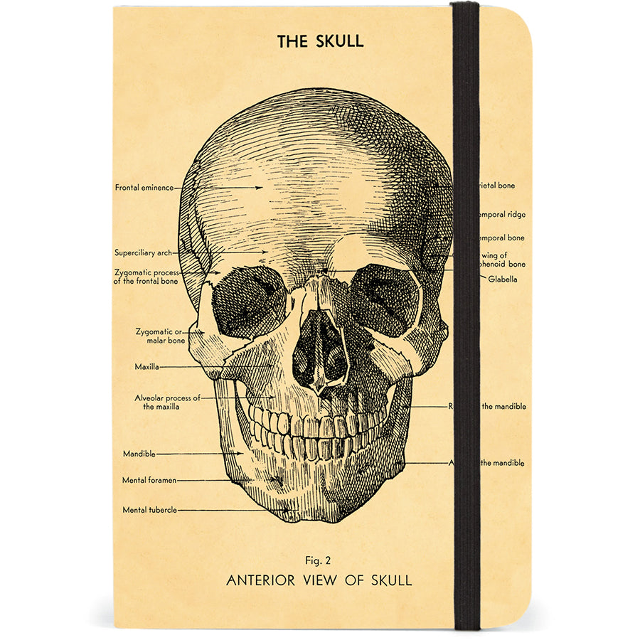 Small Notebook with Elastic Closure - Skull
