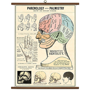 Vintage School Chart