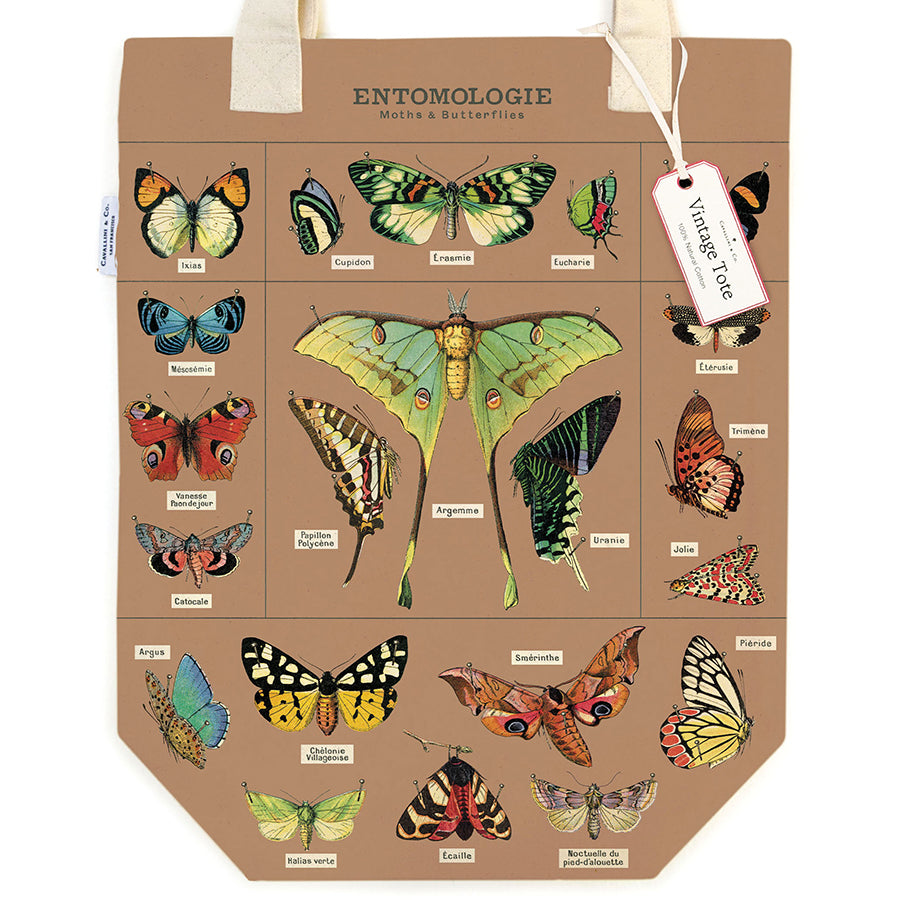 Canvas Tote Bags - Entomology