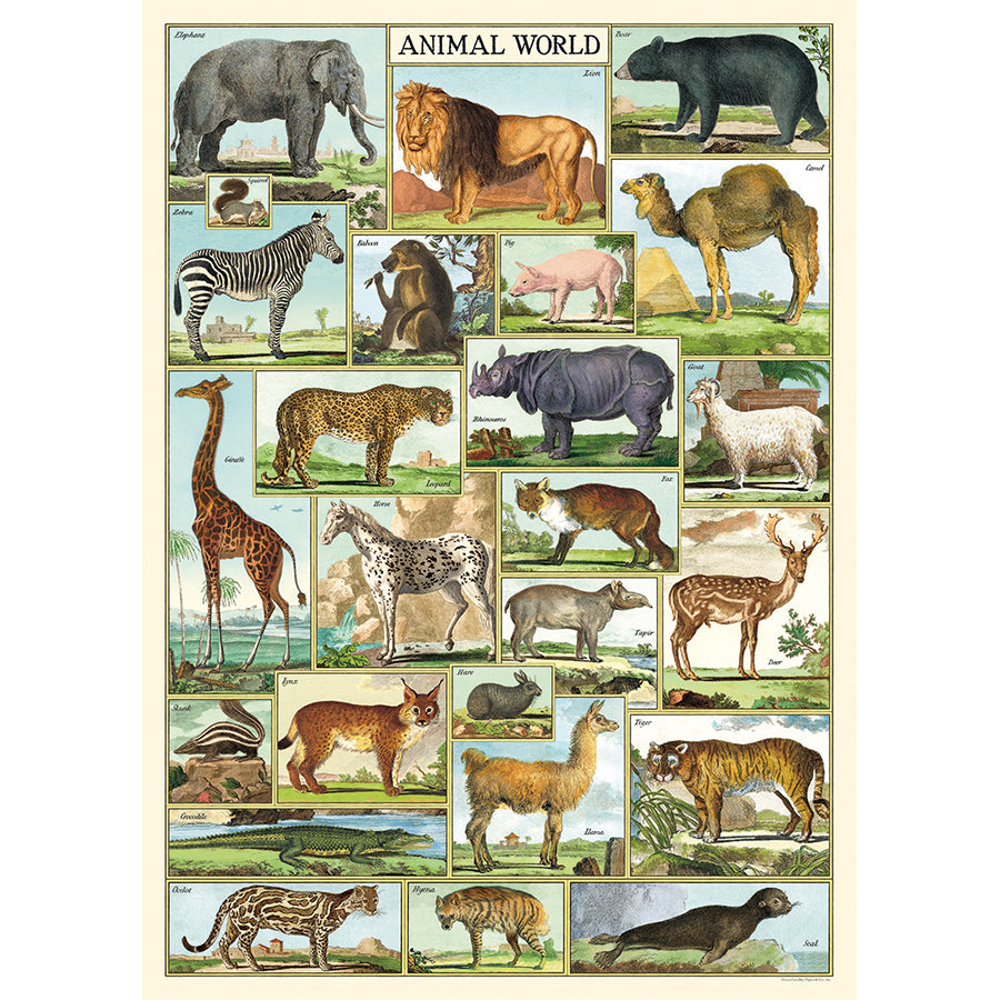 Animal World Poster