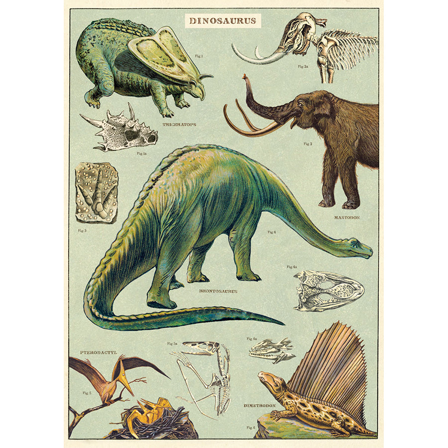 Dinosaurs Poster