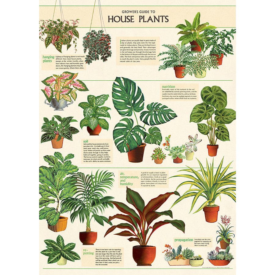 House Plants Poster