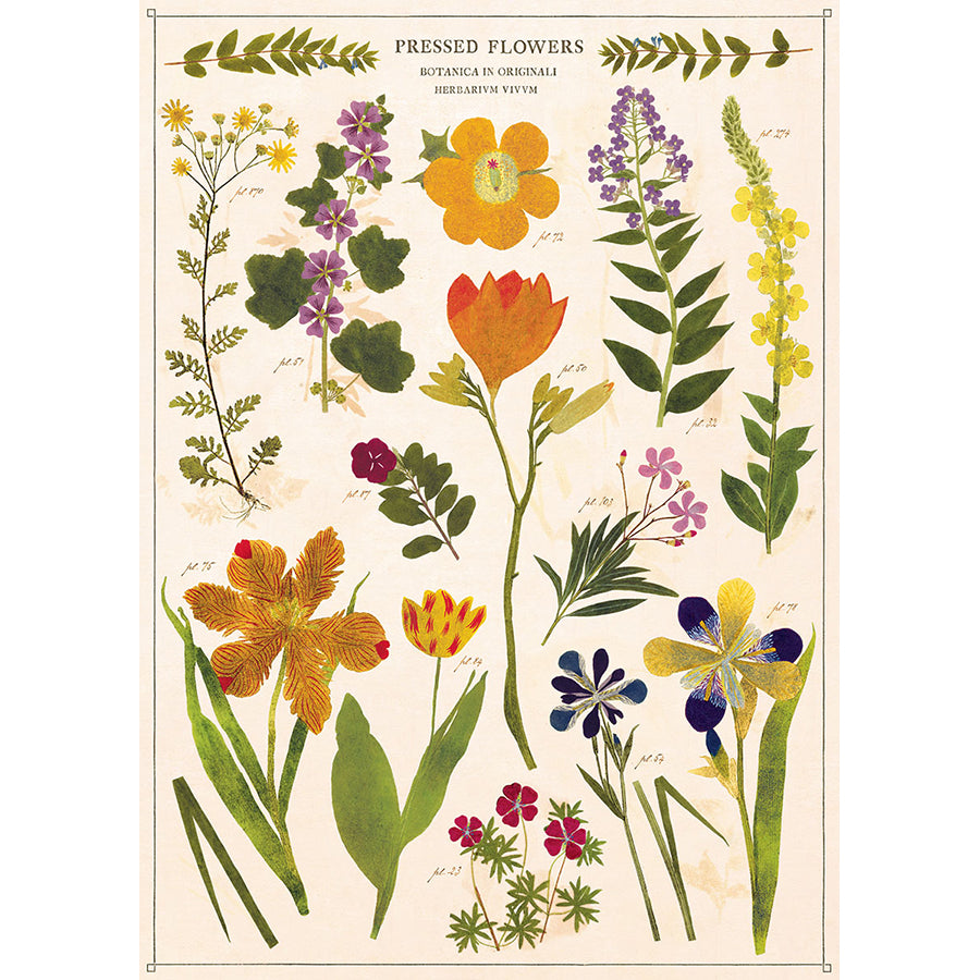 Pressed Flowers Poster