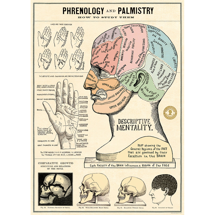 Phrenology and Palmistry Poster