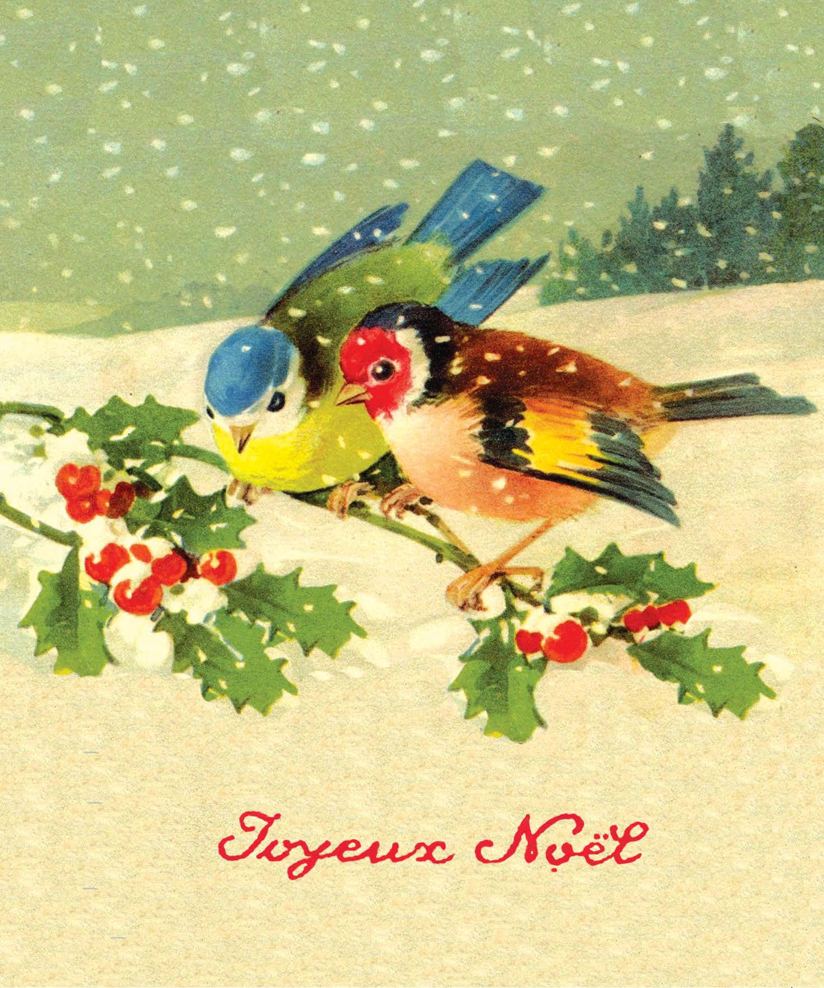 Cart-olina Boxed Holiday Cards (8 cards and 8 envelopes)