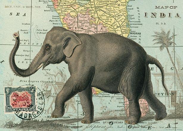 Elephant Poster