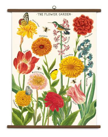 Vintage School Chart