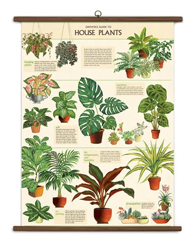 Vintage School Chart