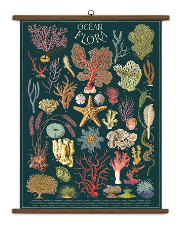 Vintage School Chart