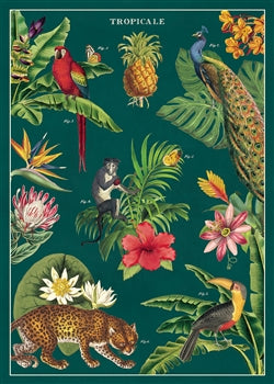 Tropicale Poster