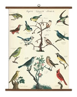 Vintage School Chart