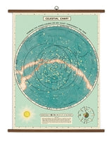 Vintage School Chart