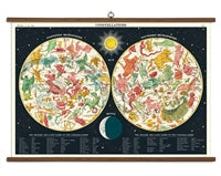 Vintage School Chart