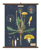 Vintage School Chart