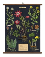 Vintage School Chart