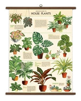 Vintage School Chart