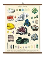 Vintage School Chart