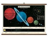 Vintage School Chart