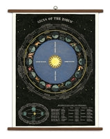 Vintage School Chart