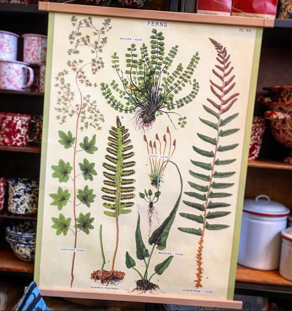 Poster Hanging Kit (Do it Yourself)