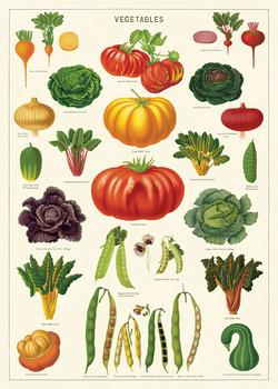 Vegetable Garden Poster
